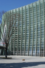 国立新美術館の主