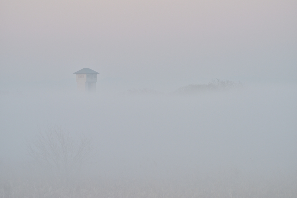 霧にかすむ水門