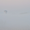 霧にかすむ水門