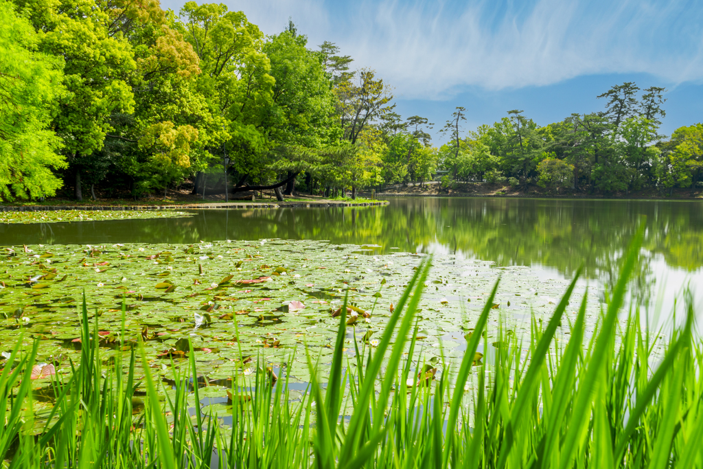 風景