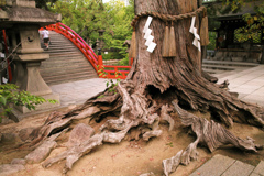 神さんが
