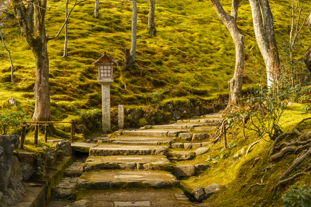 常寂光寺...2