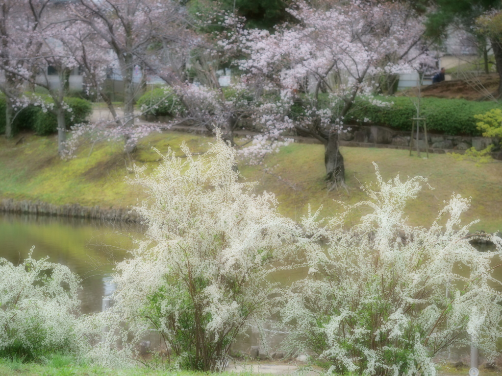 ふんわり…7
