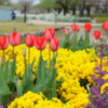 公園…1