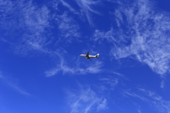 青空キャンバス...1