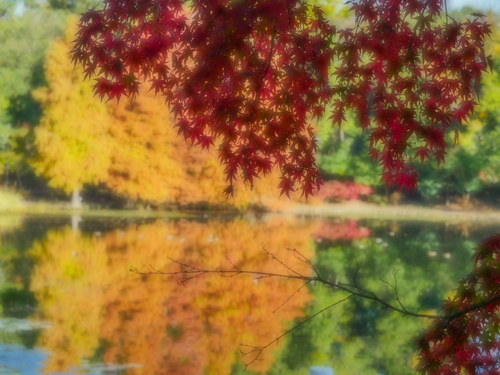 秋の彩り…1