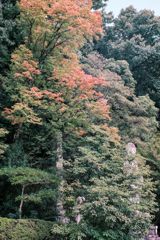 ひっそりと
