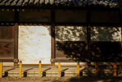 陰