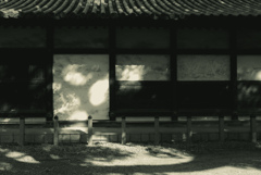 陰陽
