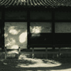 陰陽