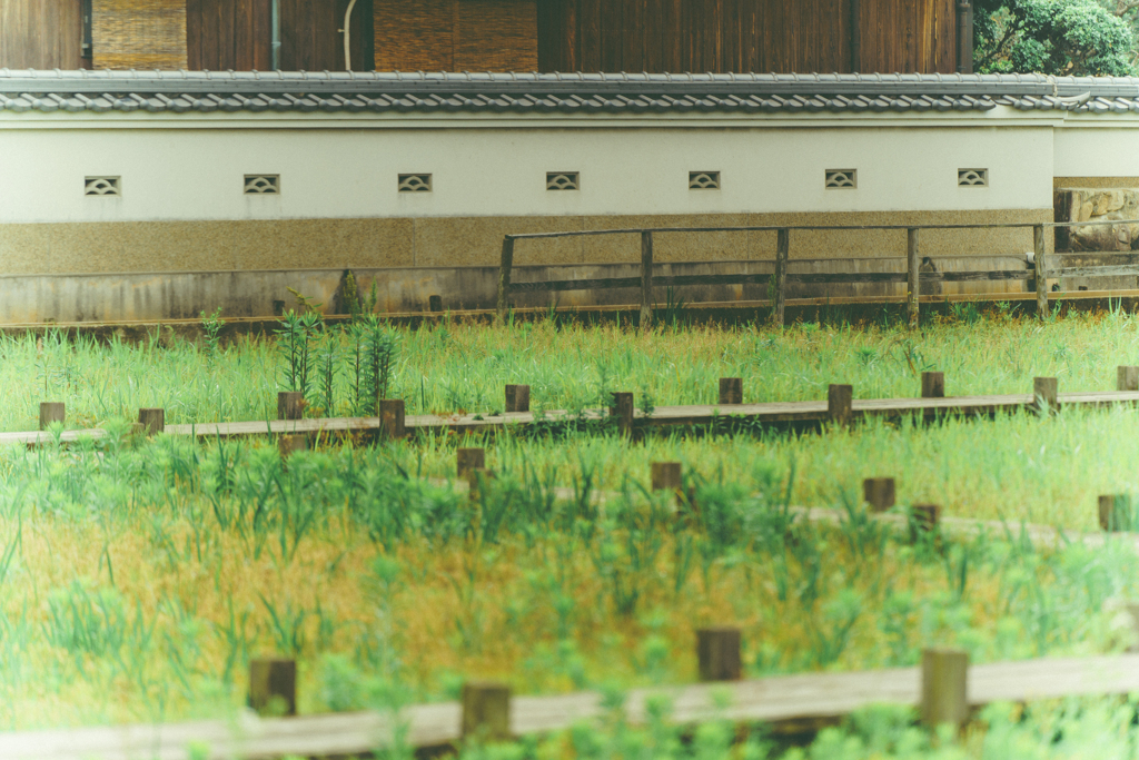 木道