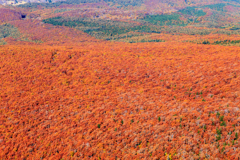 八甲田山　１