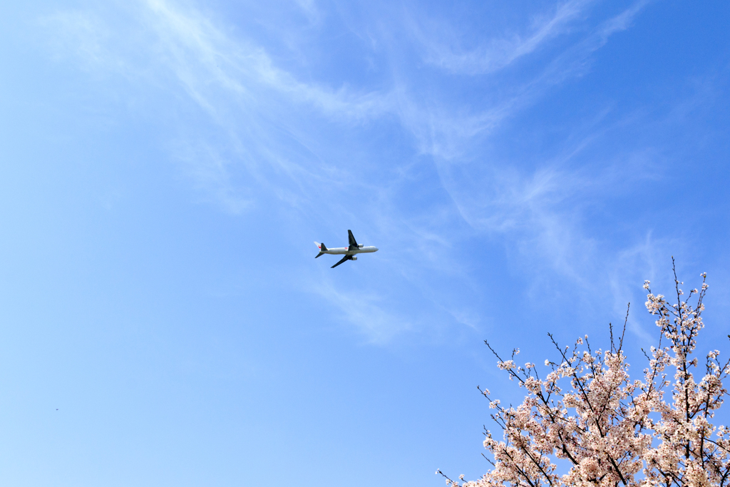 雲を掃く