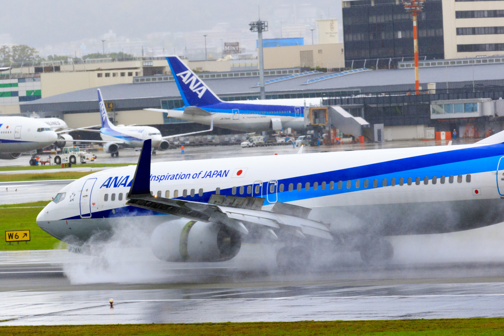 大雨、到着。...3
