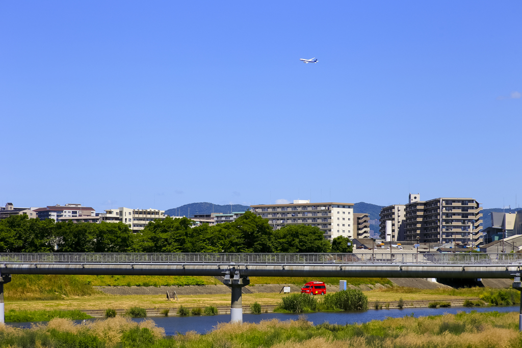 やはり目立つ、赤