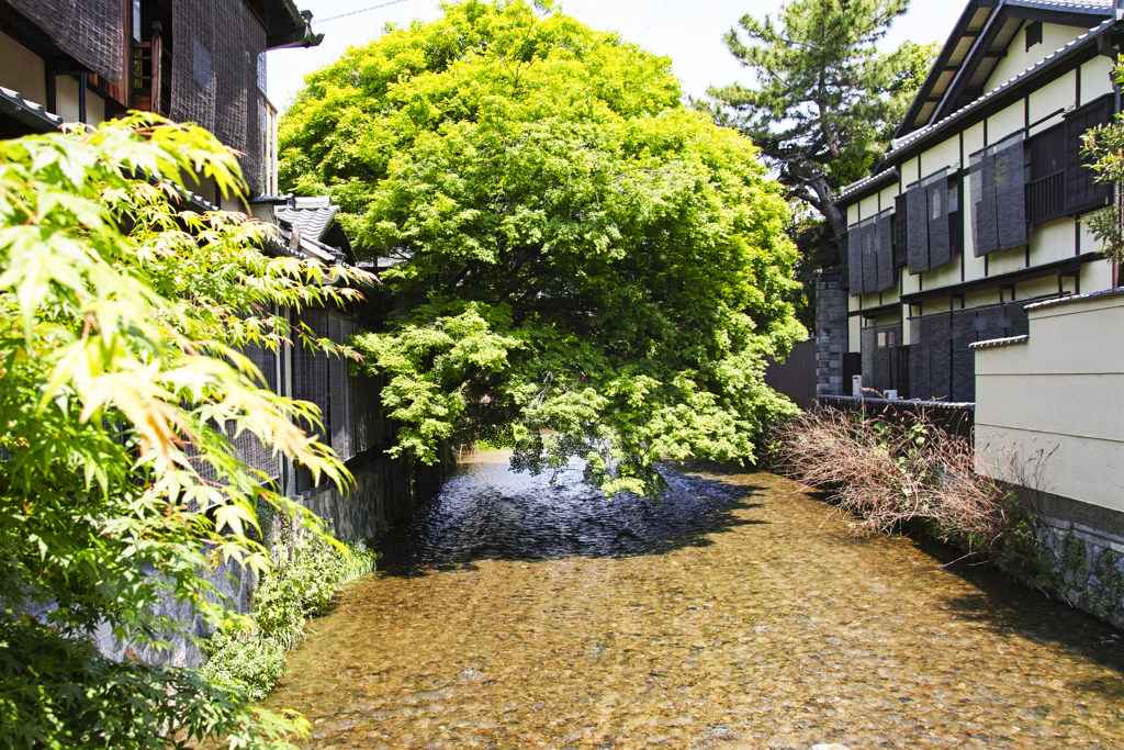 白川