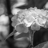光...2