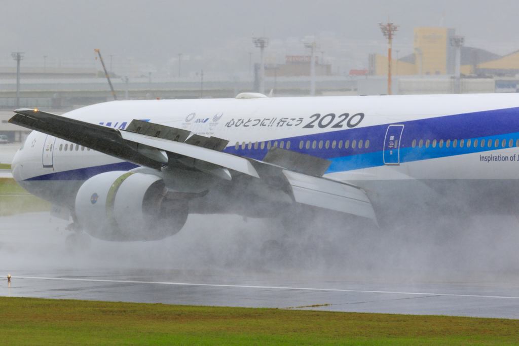 大雨、到着。 ...2