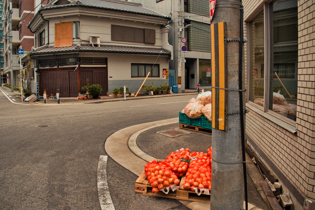 北海道産