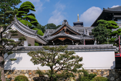 枝ぶり