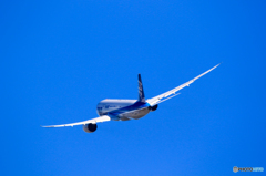 JA817A  - 3 -