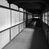渡廊下
