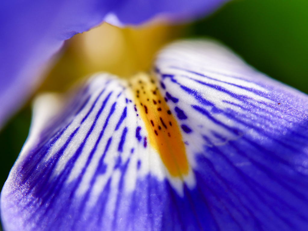 春…1