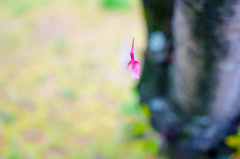 仕舞う