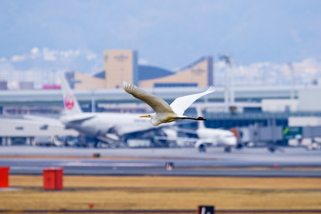 Boeing-Sagi touchdown
