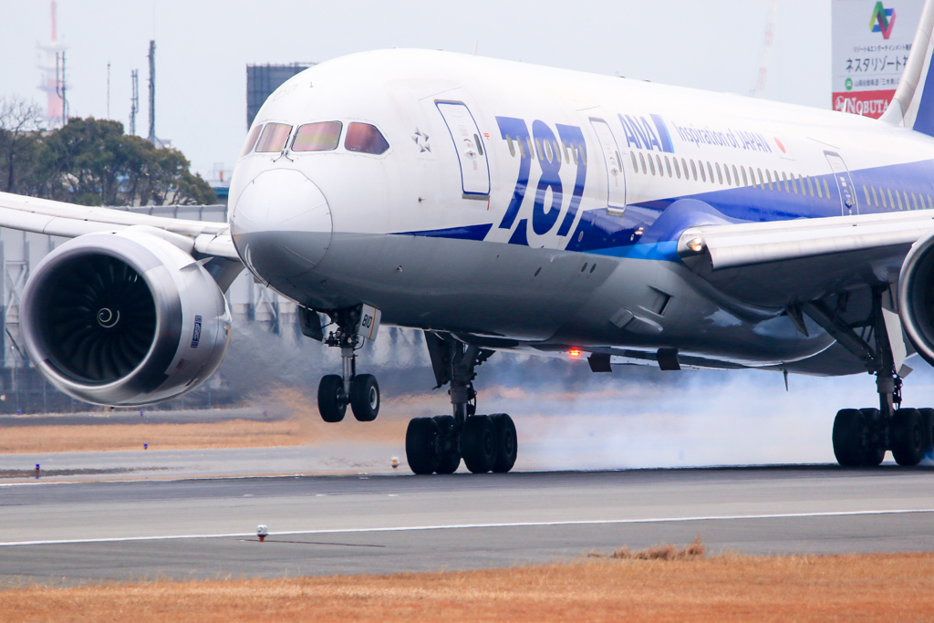 ANA touch-down