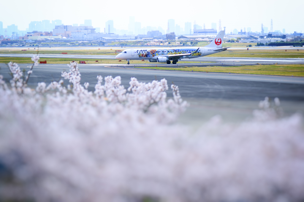 桜、飛行機、黄砂に霞む梅田。