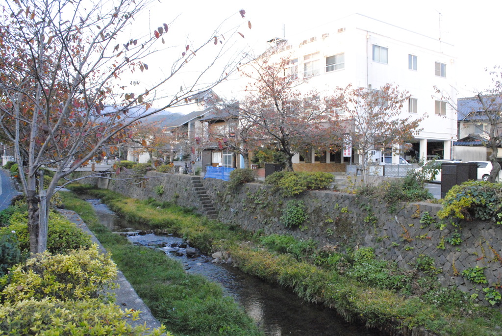 秋の一の坂川