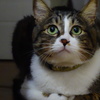 満ち足りた表情