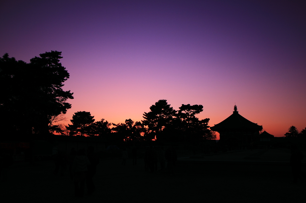 興福寺のシルエット