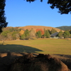 木の根と若草山