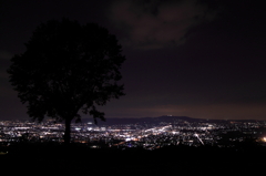 盆地の夜景と木