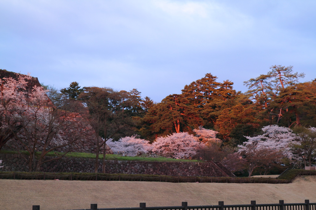夕日に栄えて