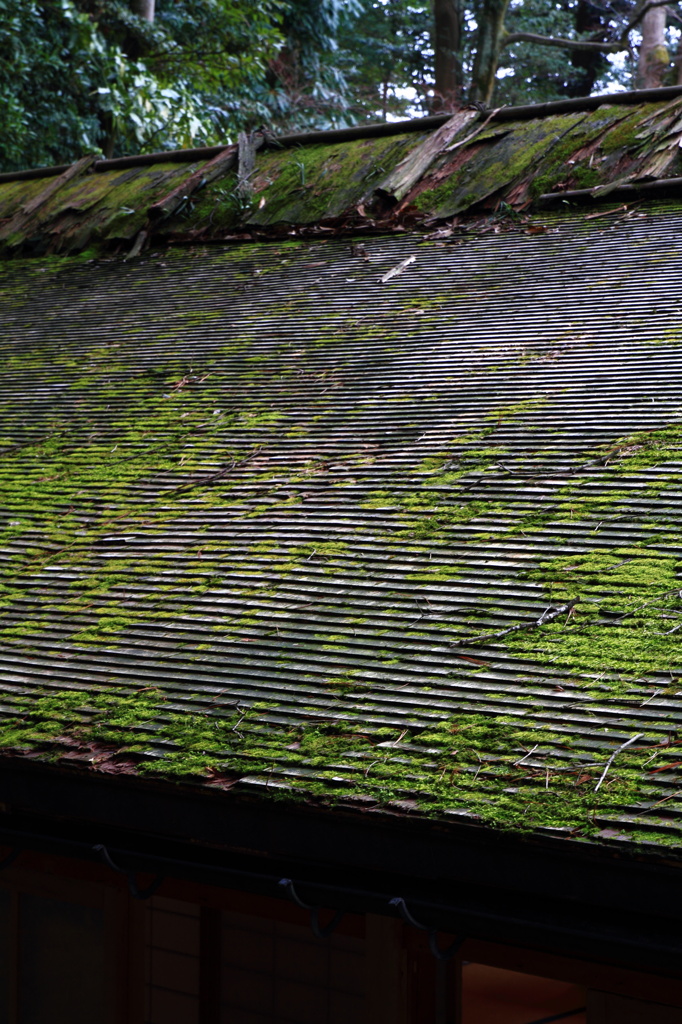 屋根