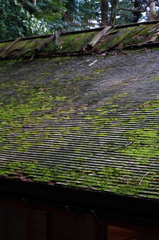 屋根