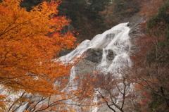 紅葉の間