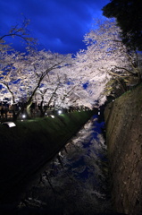 池とのコントラスト