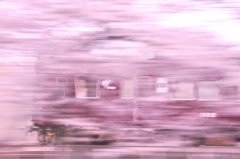 桜坂の疾走
