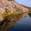 朝日を浴びて