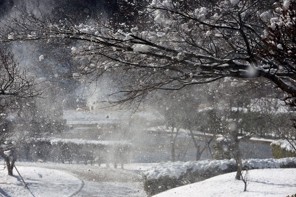 風雪