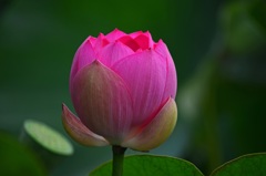 古代浪漫