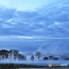 川霧の朝