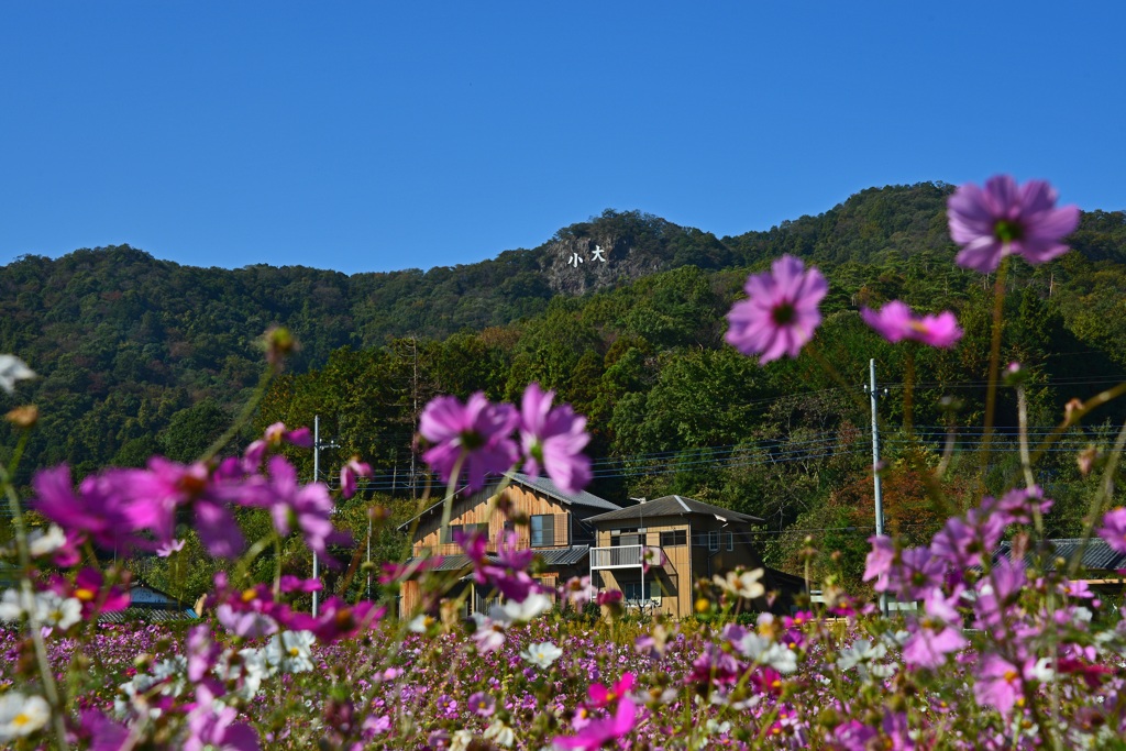 里山