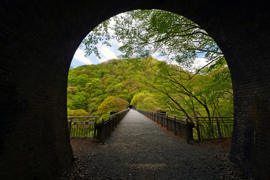 トンネルを抜けるとそこは新緑だった