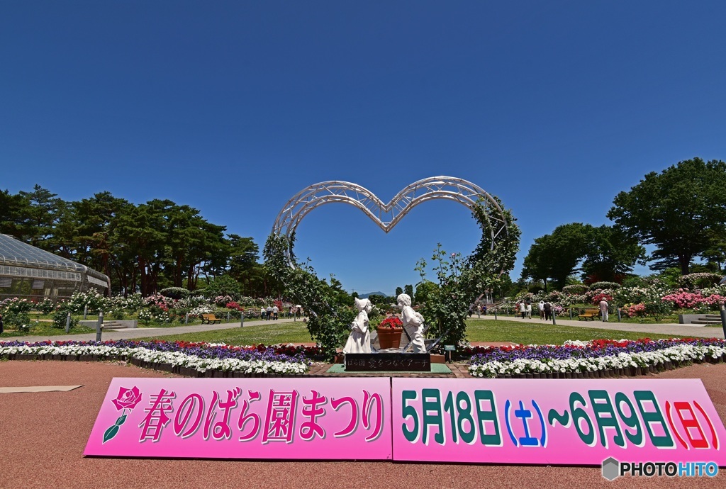 春のばら園まつり