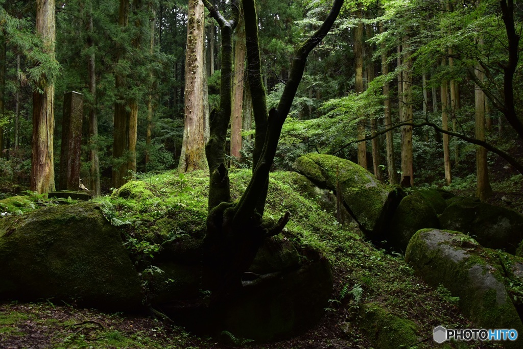 深山幽谷